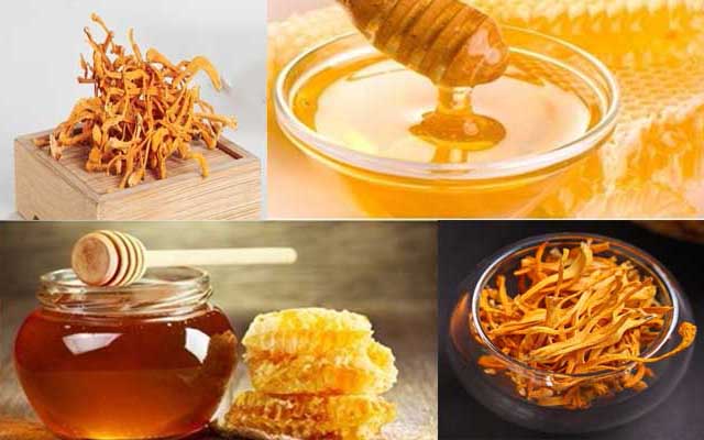 Sự kết hợp tuyệt vời của mật ong và đông trùng hạ thảo
