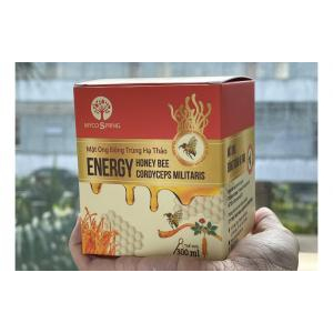 Tìm mua mật ong đông trùng hạ thảo chất lượng ở đâu?