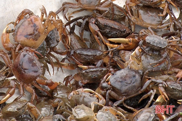 Bếp miền Tây xưa và nỗi nhớ khôn nguôi