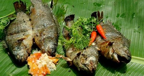 Món Ăn Của Gió Chướng Và Những Buổi Chiều "Tại Chỗ"