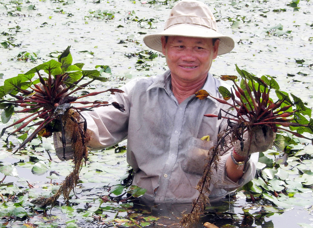 Vị Ngọt Sau Cùng