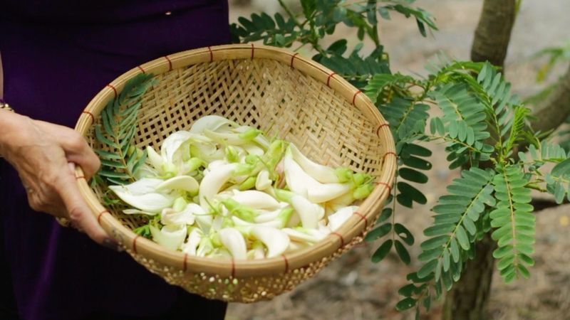 Không Chỉ Là Món Ăn, Đó Là Cả Một Vùng Ký Ức