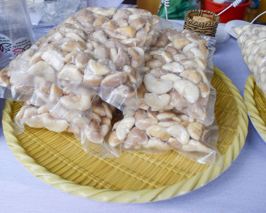 Những Đồng Tiền Lẻ Đẫm Mồ Hôi Và Tình Thương