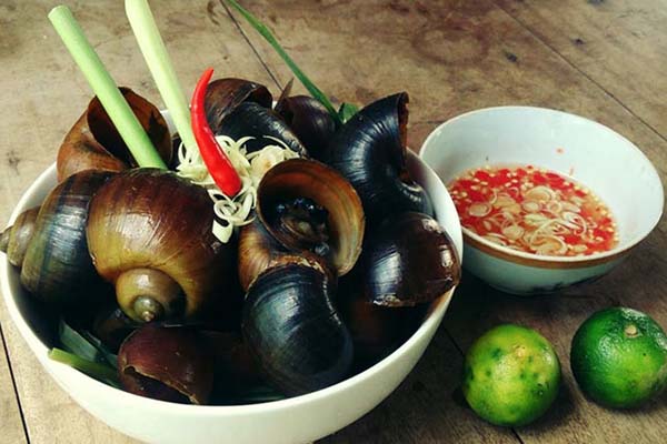 Tuyệt kỹ "hương đồng cỏ nội" trong nồi ốc hấp